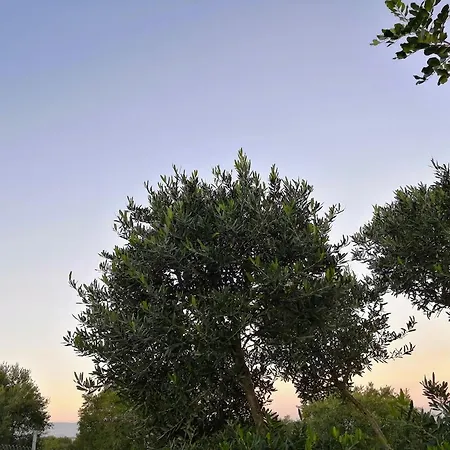 Margherita Holiday home Roggiano Gravina