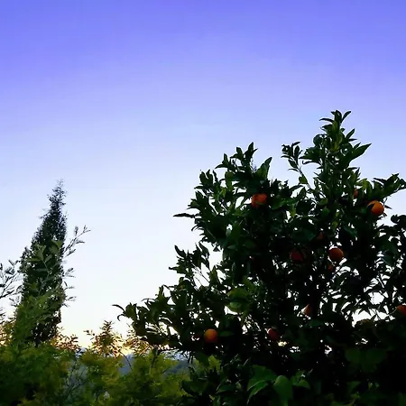 בית נופש Margherita *