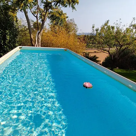 Margherita Roggiano Gravina