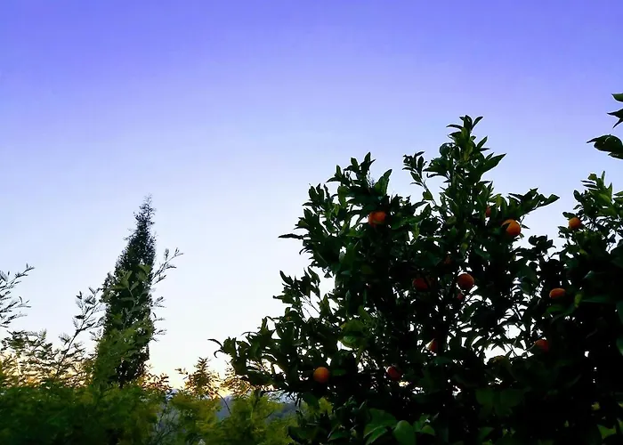 Vakantiehuis Margherita *